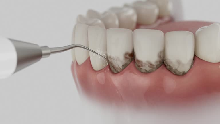 Reliable Dental contractor in La Homa, TX by Dentist Open Now